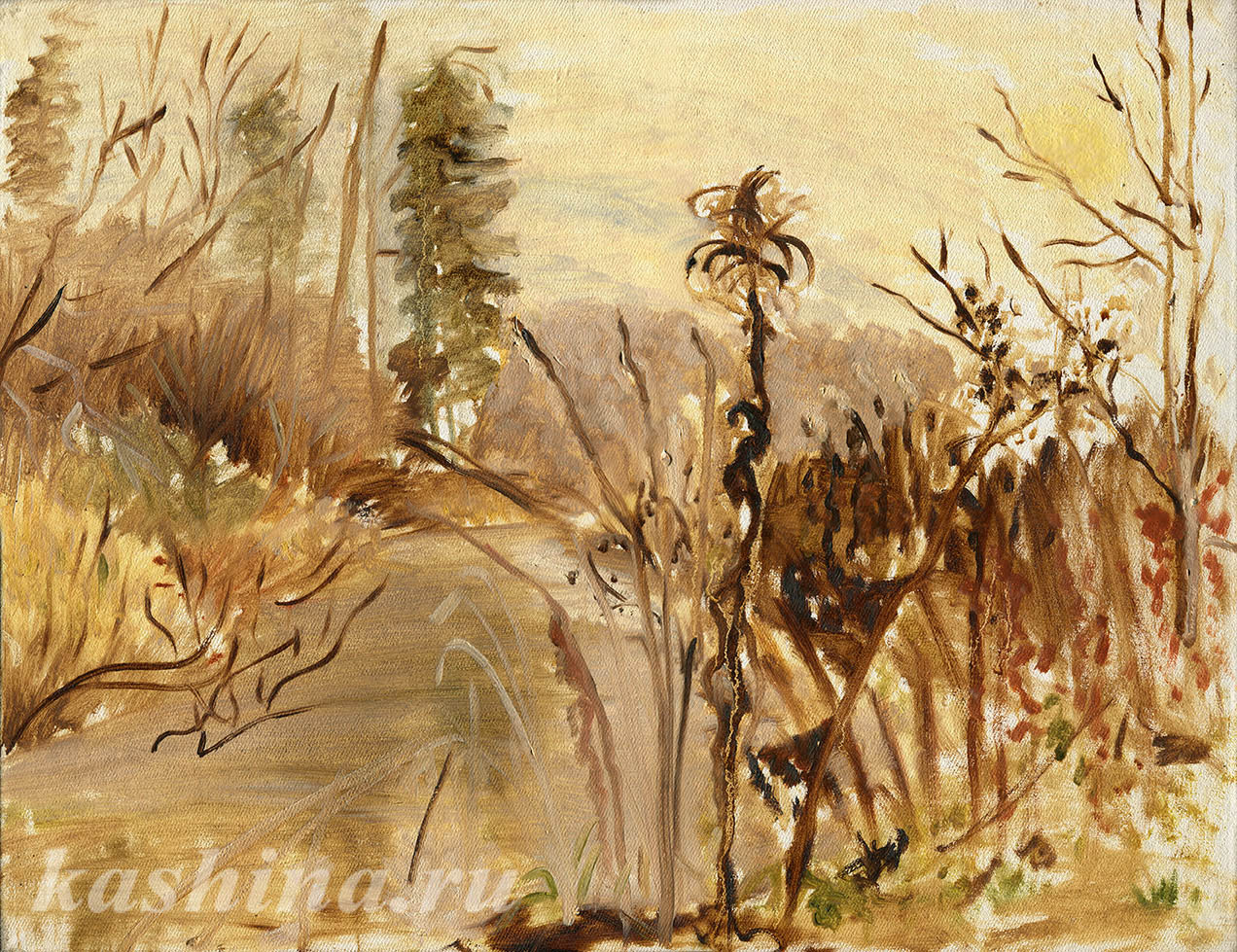 Ноябрь, Евгения Кашина