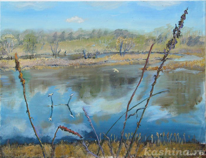 "Полёт чайки" картина Евгении Кашиной "Полёт чайки" картина Евгении Кашиной