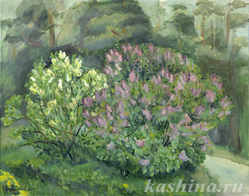 "Сирень после дождя" картина Евгении Кашиной "Сирень после дождя" картина Евгении Кашиной